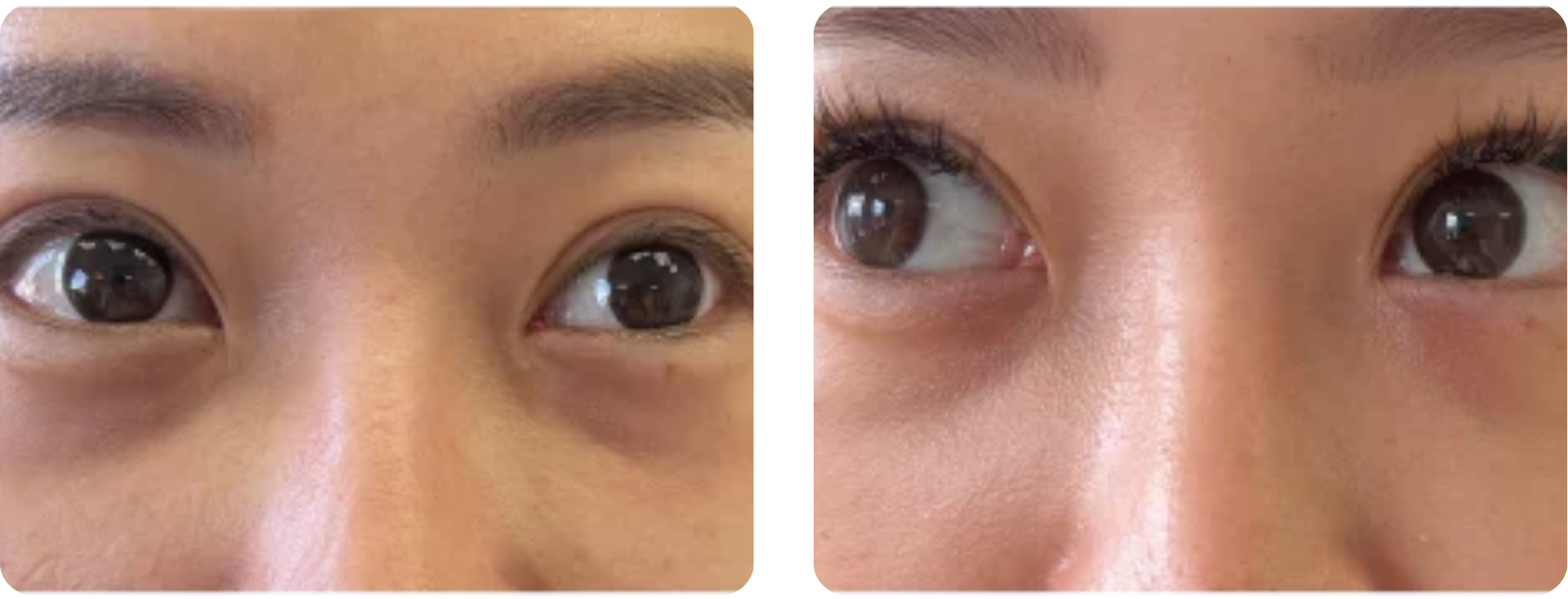 Modèle Galerie SiteWeb copie